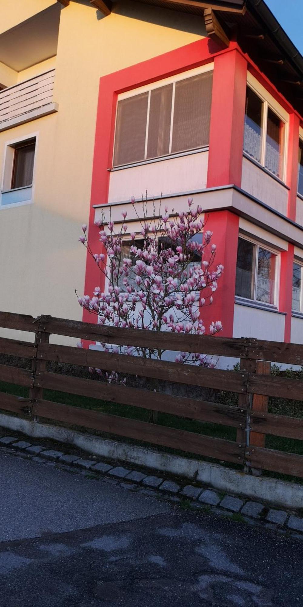 Vermietung Gisl Wiesent Экстерьер фото